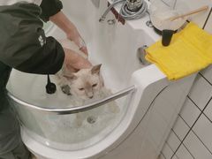 -Pets First伊珊娜洗护·精致美容·家庭式寄养(新会路店)