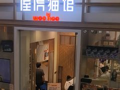 -屋虎猫馆(宝安大仟里店)
