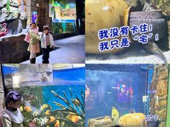 -顺德南宏海立方海洋公园