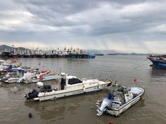 -沈家门渔港