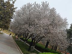 -城市运动公园(未央区)