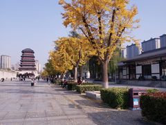 -西安汉城湖景区