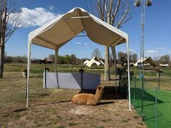 -圣露庄园·露营·烤肉·亲子