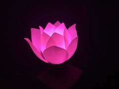 -印象普陀