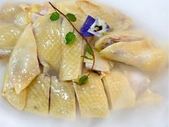 -明本湛江鸡•海鲜小厨(陈家祠店)