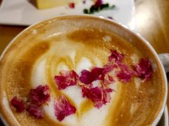 -咖法森林·咖啡  酒吧(天河店)