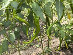 -松浦·观江国际