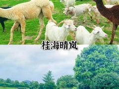 -澳门酒家(南航明珠店)