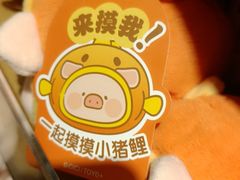 -九木杂物社(东方宝泰店)