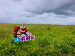-黄河九曲第一湾