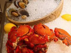 -广州奥园喜来登酒店
