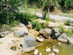 -云丘山景区