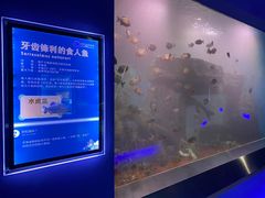 -石家庄海洋公园