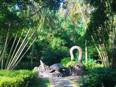 景点-广东惠东海龟国家级自然保护区