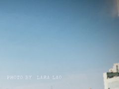 -振鼎鸡(华阴路店)