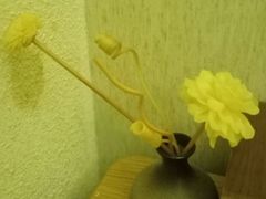 -不凡脑禅境·养生·舒压调理SPA(华发世纪城店)