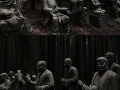 -武陵山森林公园