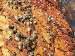 -西涌国际滨海旅游区