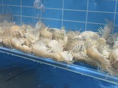 -上亿海鲜大咖(鑫源大厦店)