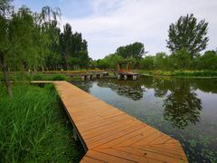 -东郊湿地公园