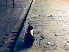 -云南路美食街
