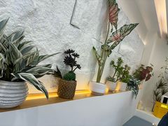 -山与蓝蛋糕(勒泰店)