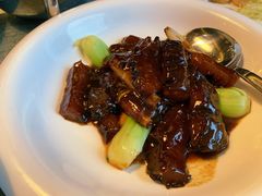 葱烧大乌参-新镇江酒家(南京西路店)