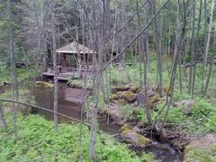 -五营红松林海景区