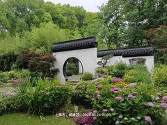 -上海共青森林公园