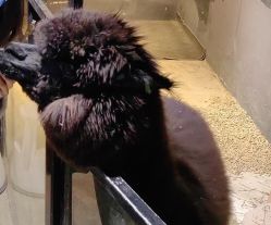 -酷嗒动物文化乐园(cutezoo西溪乐天城店)