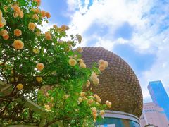 -王府井百货(总府店)