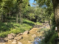 -广州白江湖森林公园