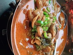 -凤凰湘语(浦东旗舰店)