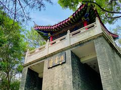-青龙山国家森林公园