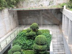 -南宁荔园维景国际酒店·荔园中餐厅