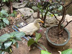 -北园酒家(小北路店)