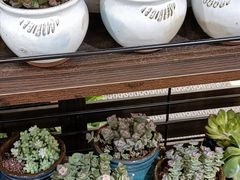 -优衣库(深圳万象天地旗舰店)