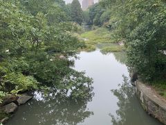 -杭州城北体育公园