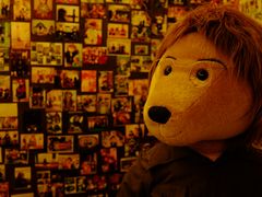 -济州岛泰迪熊博物馆