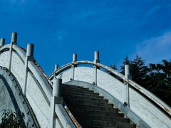 -洛阳市隋唐城遗址植物园