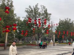 -北湖公园