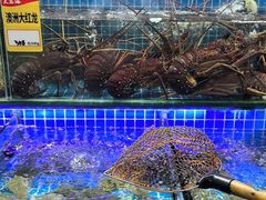 -大东海海鲜酒楼(渔人码头总店)