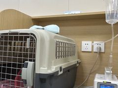 -美联众合爱康动物医院•复杂内科•肿瘤科•牙科•腔镜诊疗中心