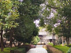 -庐山风景名胜区-东林大佛