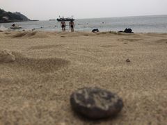 -放鸡岛生态旅游国际度假区