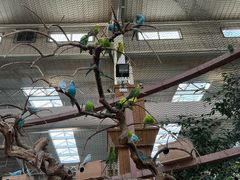 -南宫五洲植物乐园