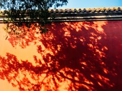 -北京市劳动人民文化宫(太庙)