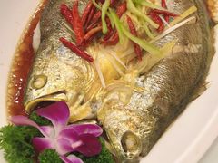 清蒸黄花鱼-青瓦餐厅·生鱼片·韩园烤肉(西塔店)