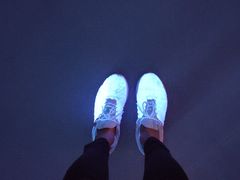 -上海海昌海洋公园