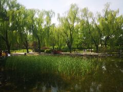-玲珑塔公园